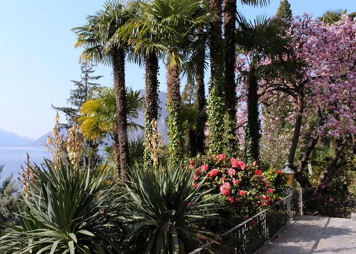 Barony Romantic * Lugano