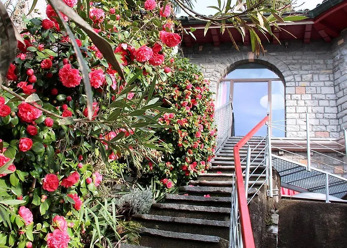 Apartment Barony Romantic