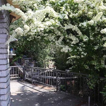 Barony Romantic Lejlighed