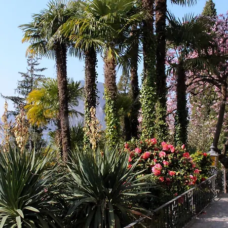 Barony Romantic * Lugano